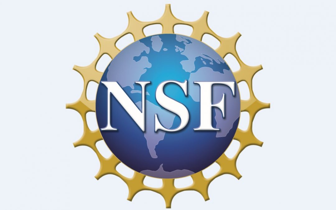 Dr. Hebin Li, NSF PREM Key Personnel, obtained NSF PREP Seed Grant